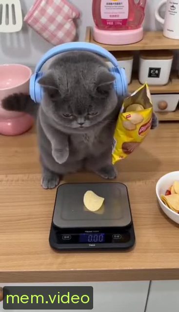Кадр на 0:07