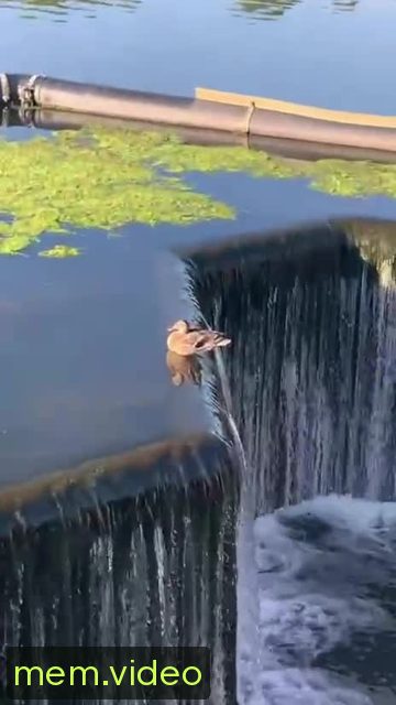 Кадр на 0:01