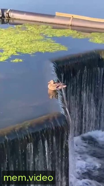 Кадр на 0:02