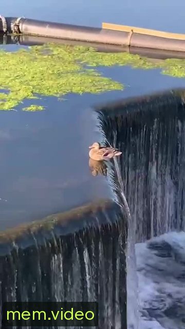 Кадр на 0:02