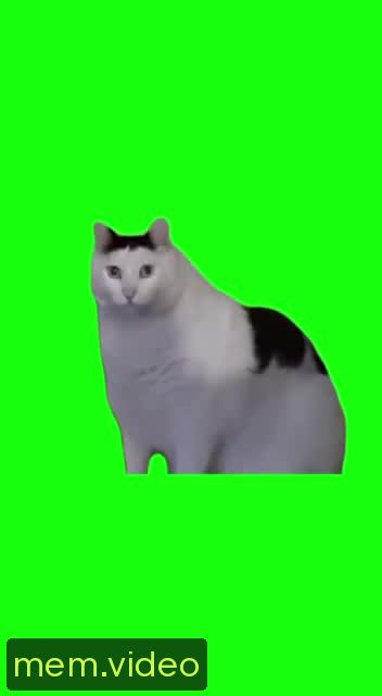 Кадр на 0:00