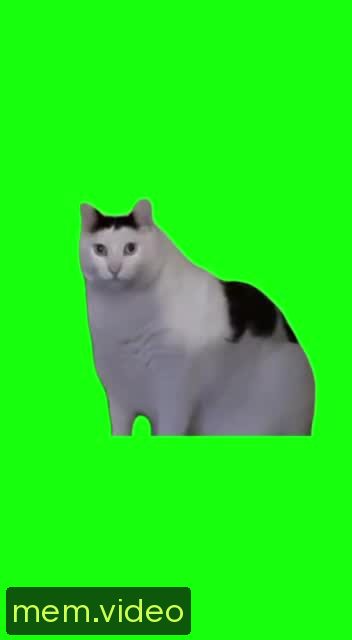 Кадр на 0:00
