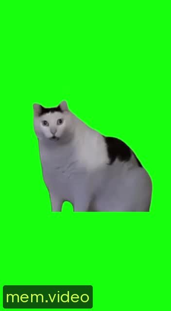 Кадр на 0:01