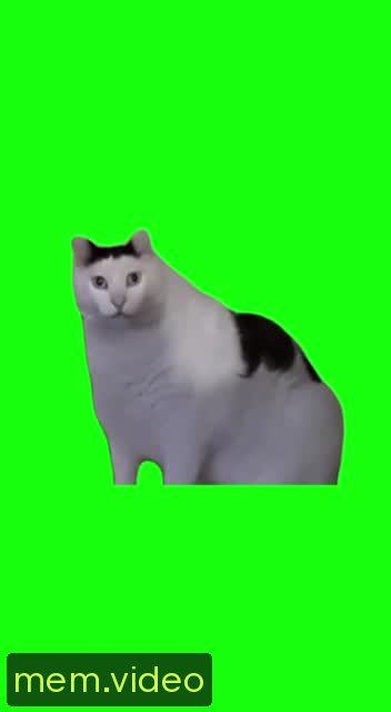 Кадр на 0:01