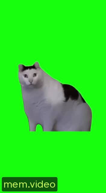 Кадр на 0:02