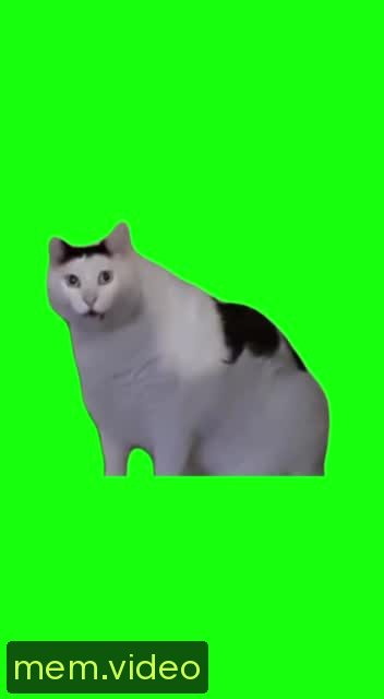 Кадр на 0:03