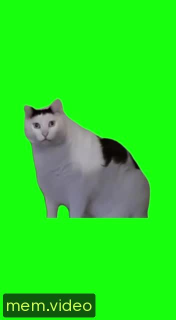 Кадр на 0:03