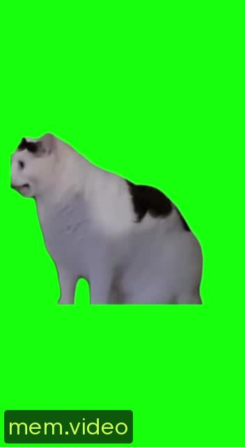 Кадр на 0:05