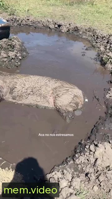 Кадр на 0:00