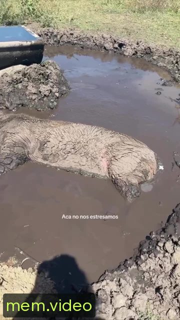Кадр на 0:01