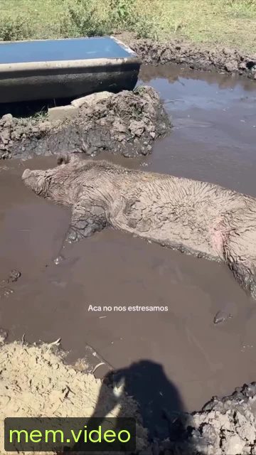 Кадр на 0:02