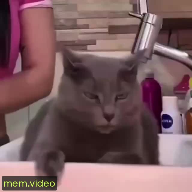 Кадр на 0:00