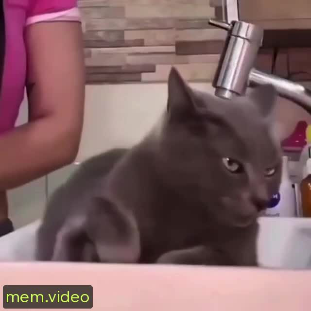 Кадр на 0:00