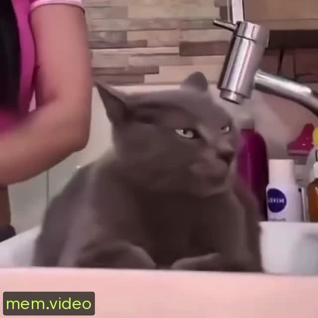 Кадр на 0:01