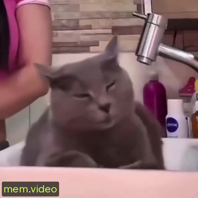Кадр на 0:02