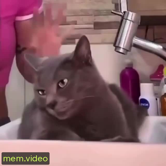 Кадр на 0:03