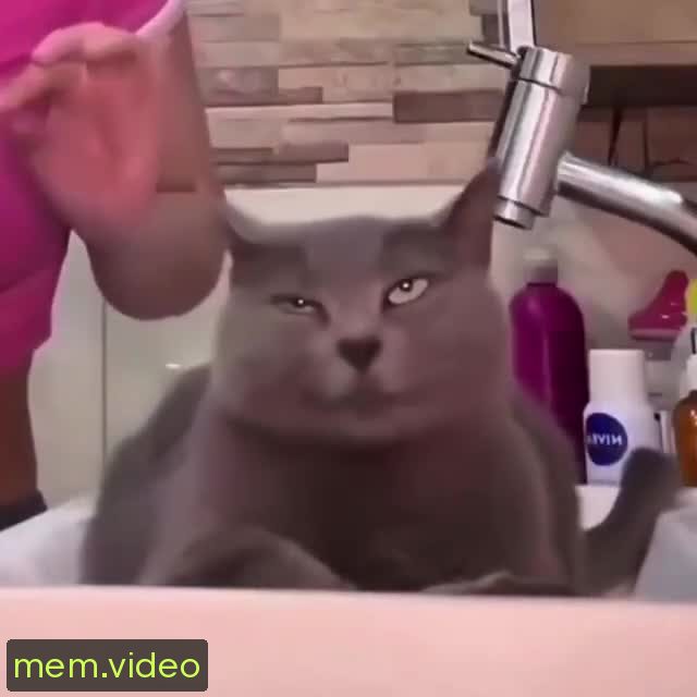 Кадр на 0:05