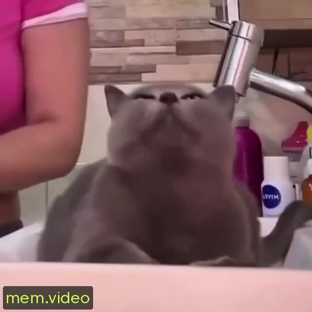 Кадр на 0:06