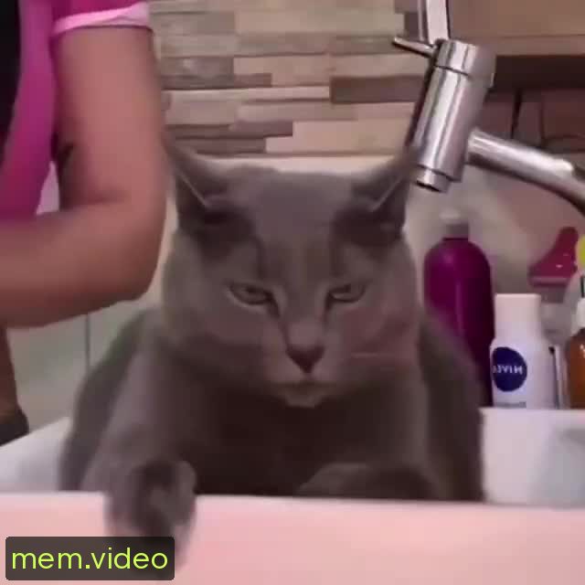 Кадр на 0:00