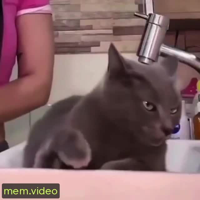 Кадр на 0:00