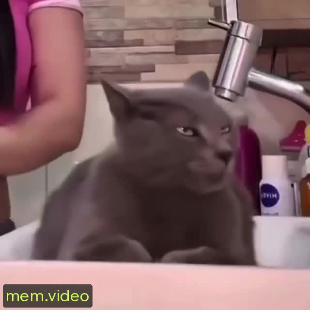 Кадр на 0:01