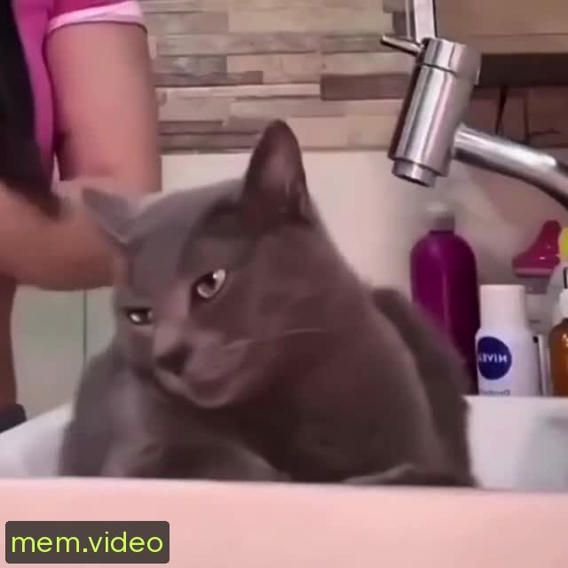 Кадр на 0:03