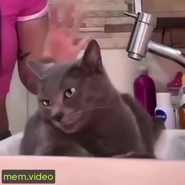 Кадр на 0:03