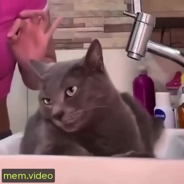 Кадр на 0:04