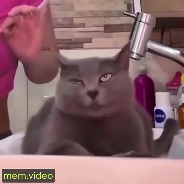 Кадр на 0:05