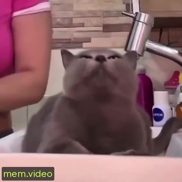 Кадр на 0:06
