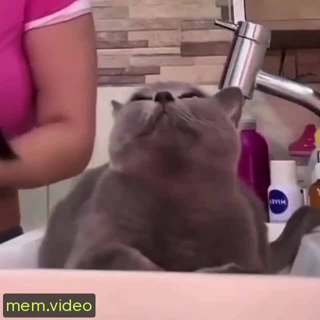 Кадр на 0:07