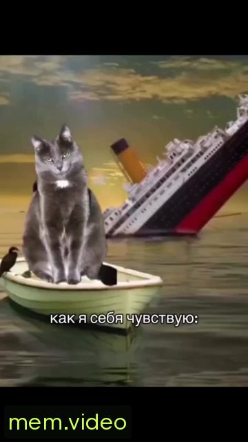 Кадр на 0:00