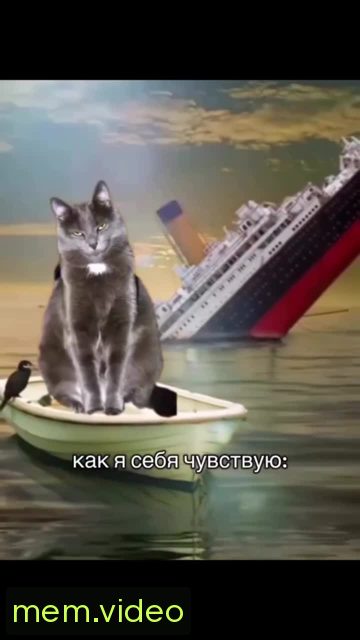 Кадр на 0:00