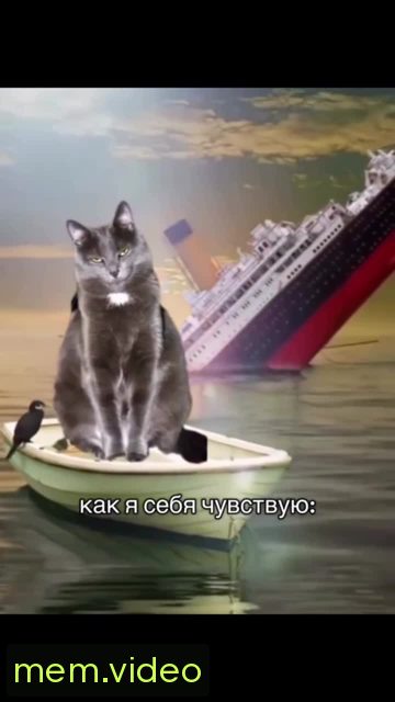 Кадр на 0:02