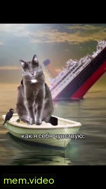 Кадр на 0:02