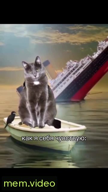 Кадр на 0:03