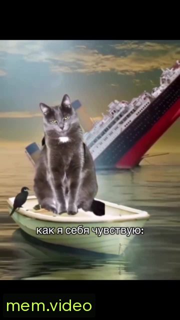 Кадр на 0:04
