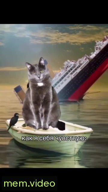 Кадр на 0:05