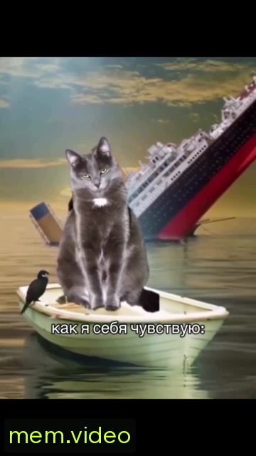Кадр на 0:05
