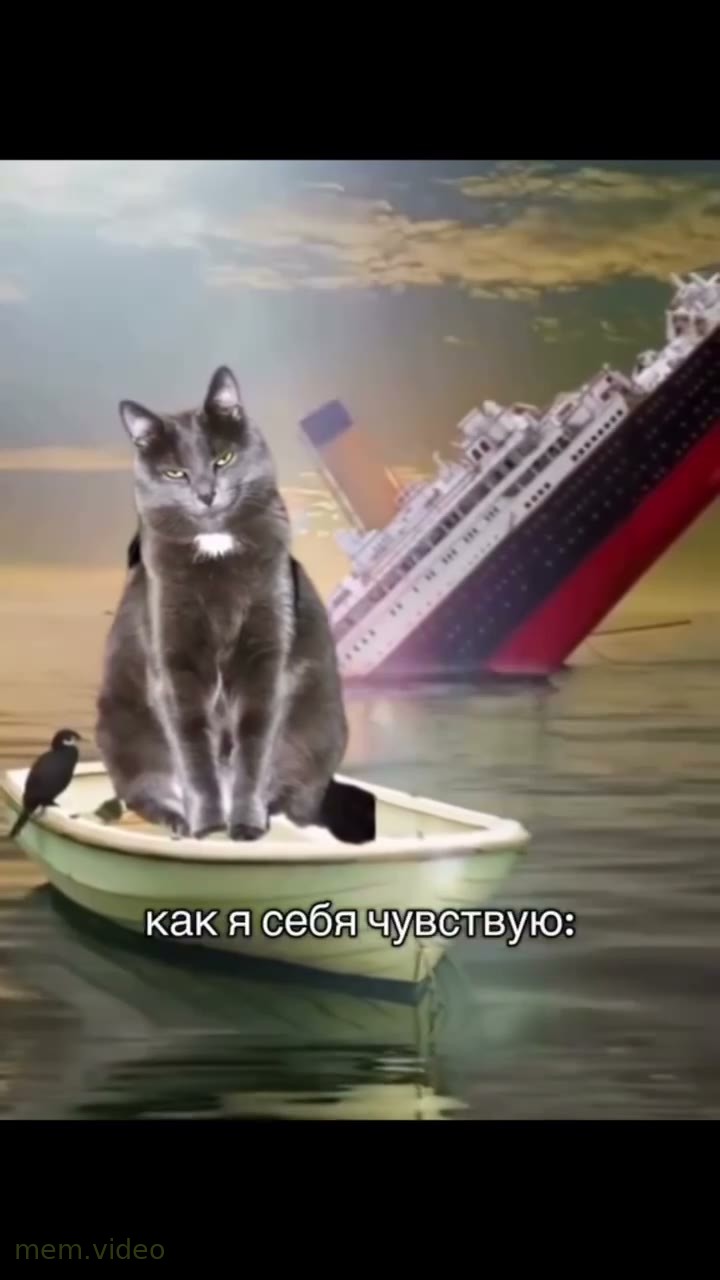 Кадр: «There's nothing I fear» — кот уплывает на лодке