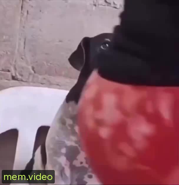 Кадр на 0:03