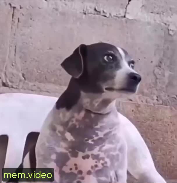 Кадр на 0:03