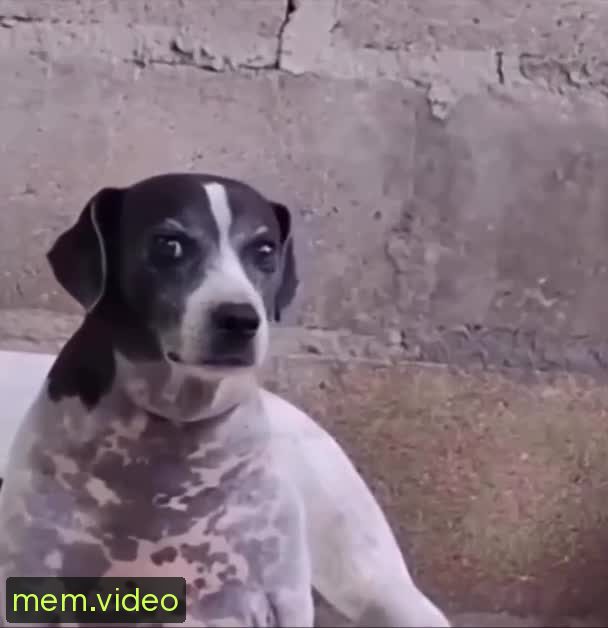 Кадр на 0:07