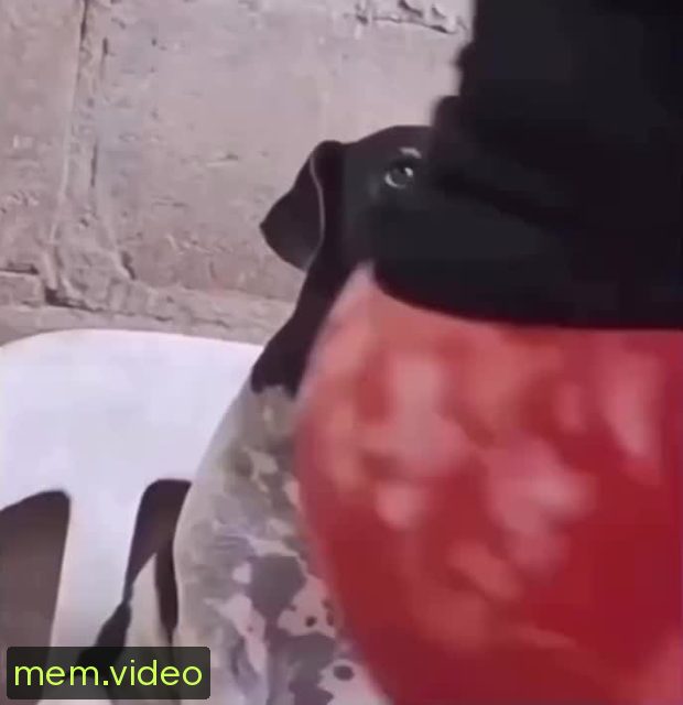 Кадр на 0:03
