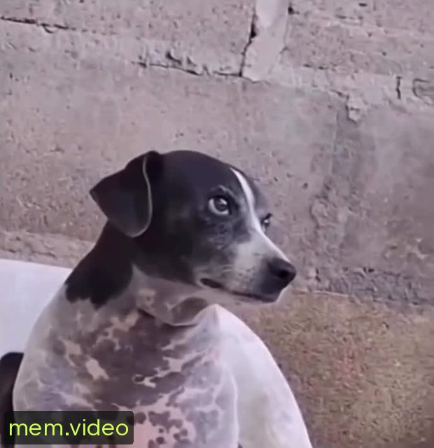 Кадр на 0:05