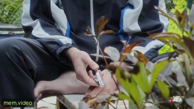 Кадр на 0:11