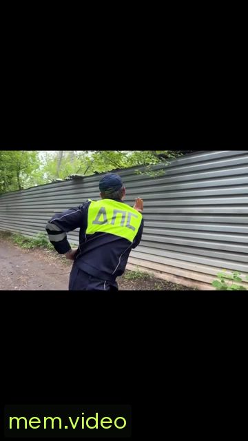 Кадр на 0:12