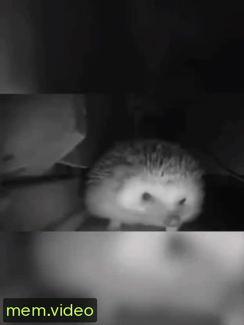 Кадр на 0:00