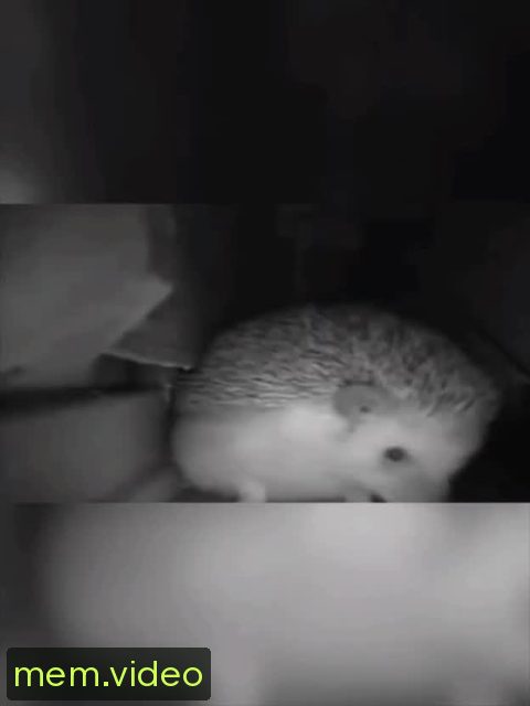 Кадр на 0:01