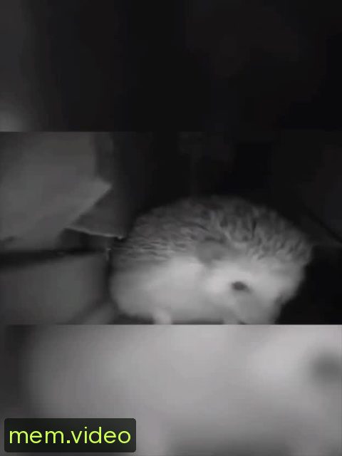 Кадр на 0:02
